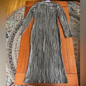 Glittery, Metallic Akira Dress